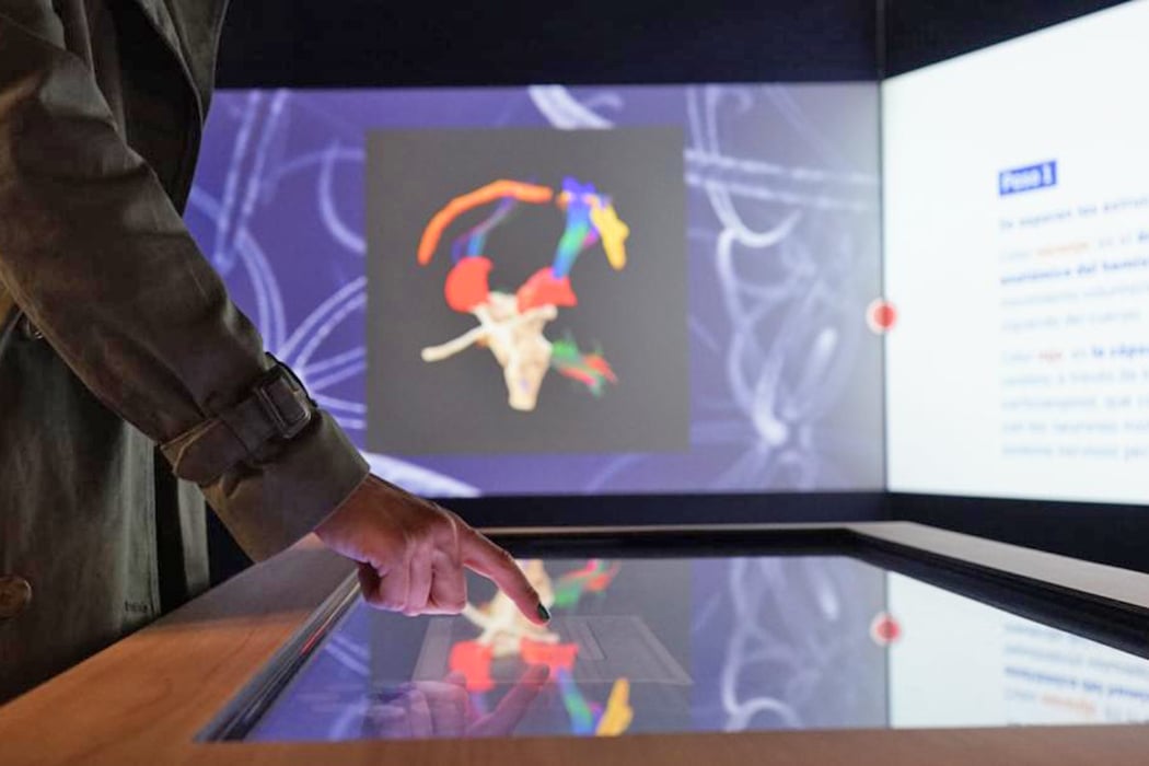 Ágora de la Ciencia, la expo interactiva inmersiva del Hospital SJD