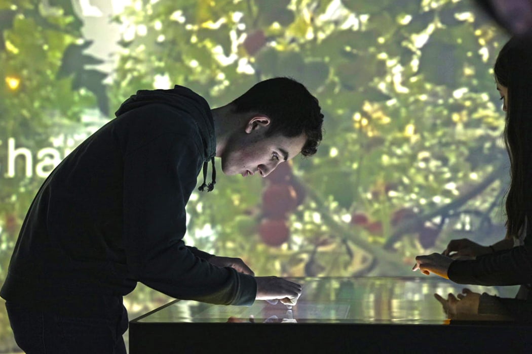 Salas inmersivas interactivas para el sector educativo